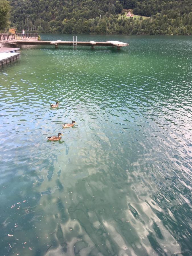 Casa A Schiera Fronte Lago Con Giardino Barcis Εξωτερικό φωτογραφία